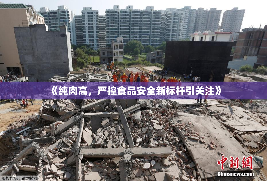 《纯肉高，严控食品安全新标杆引关注》