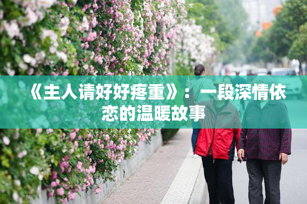 《主人请好好疼重》：一段深情依恋的温暖故事