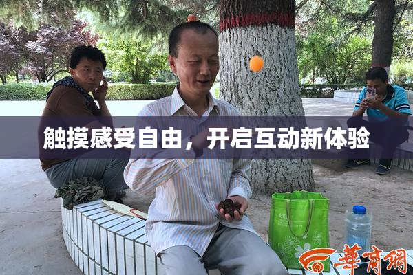 触摸感受自由，开启互动新体验