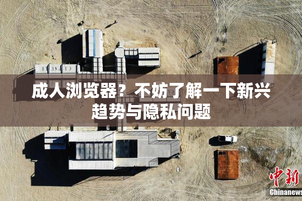 成人浏览器？不妨了解一下新兴趋势与隐私问题