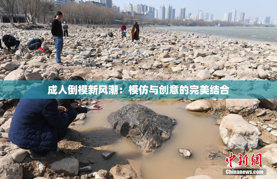成人倒模新风潮：模仿与创意的完美结合