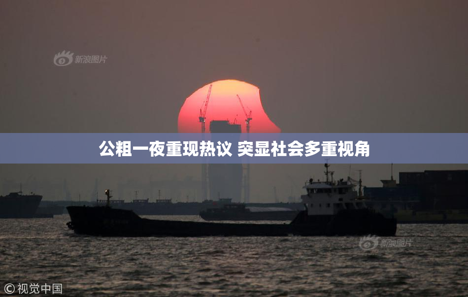 公粗一夜重现热议 突显社会多重视角