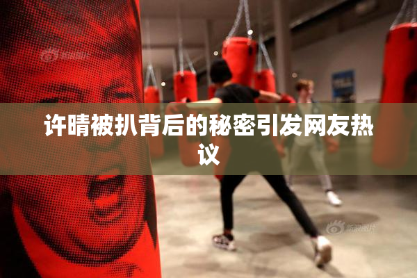 许晴被扒背后的秘密引发网友热议