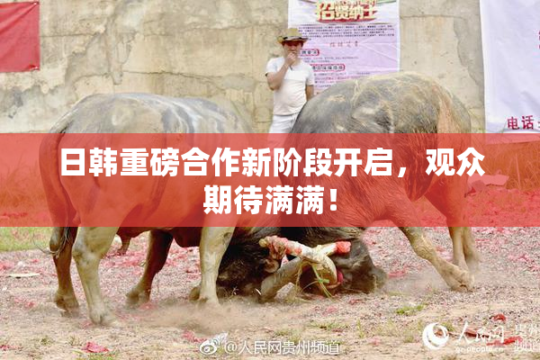 日韩重磅合作新阶段开启，观众期待满满！