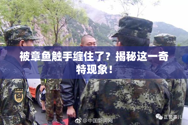 被章鱼触手缠住了？揭秘这一奇特现象！