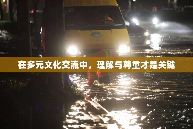 在多元文化交流中，理解与尊重才是关键