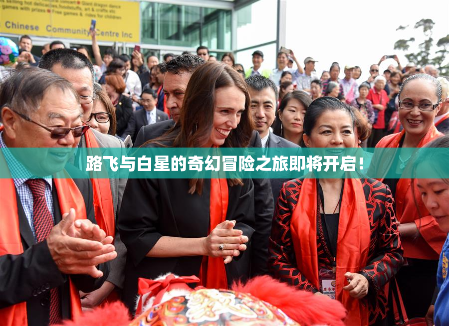 路飞与白星的奇幻冒险之旅即将开启！