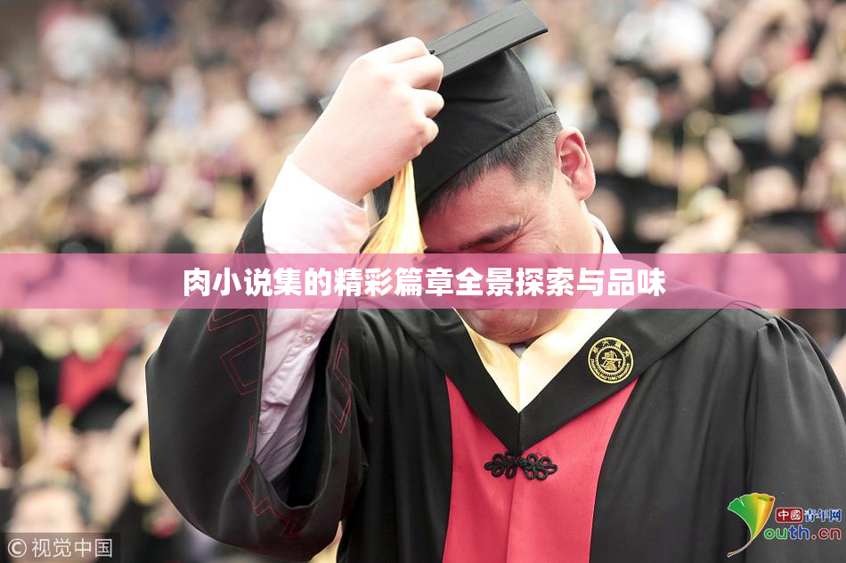 肉小说集的精彩篇章全景探索与品味