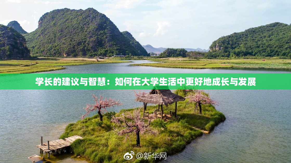 学长的建议与智慧：如何在大学生活中更好地成长与发展