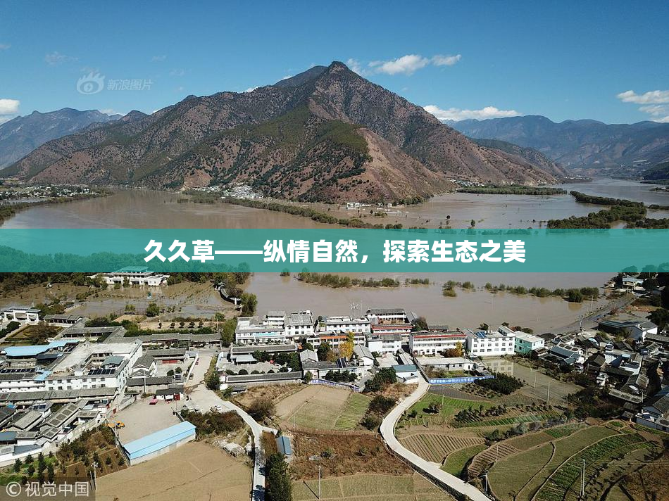 久久草——纵情自然，探索生态之美