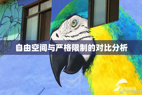 自由空间与严格限制的对比分析