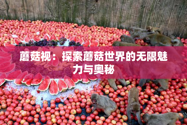 蘑菇视：探索蘑菇世界的无限魅力与奥秘
