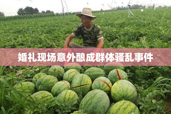 婚礼现场意外酿成群体骚乱事件