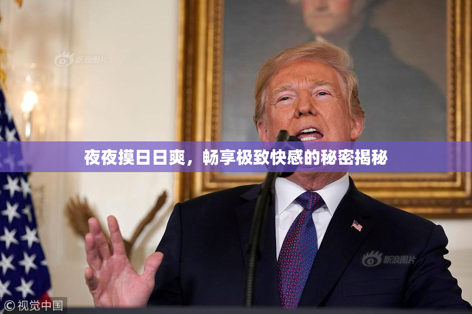 夜夜摸日日爽，畅享极致快感的秘密揭秘