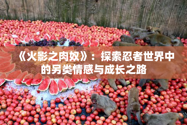 《火影之肉奴》：探索忍者世界中的另类情感与成长之路