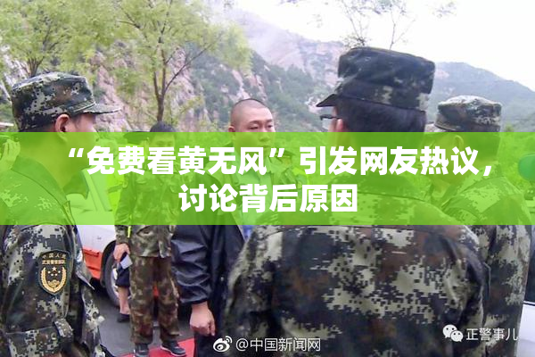 “免费看黄无风”引发网友热议，讨论背后原因