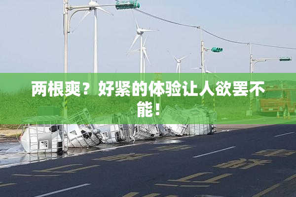 两根爽？好紧的体验让人欲罢不能！