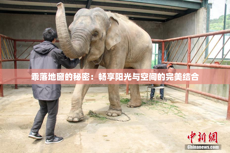 乖落地窗的秘密：畅享阳光与空间的完美结合