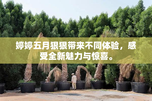 婷婷五月狠狠带来不同体验，感受全新魅力与惊喜。