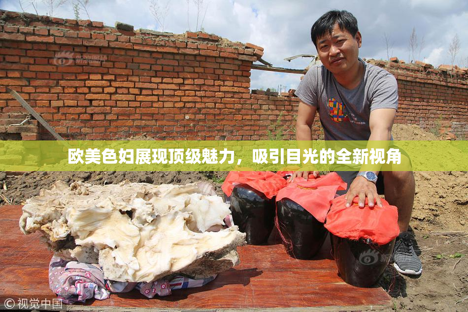 欧美色妇展现顶级魅力，吸引目光的全新视角