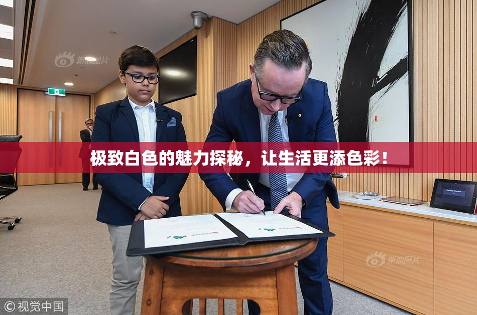 极致白色的魅力探秘，让生活更添色彩！