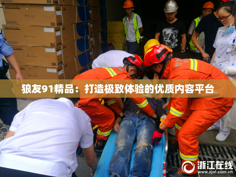 狼友91精品：打造极致体验的优质内容平台