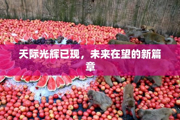 天际光辉已现，未来在望的新篇章