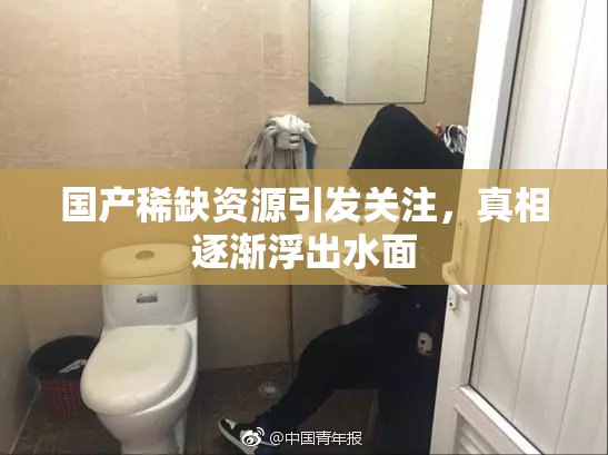 国产稀缺资源引发关注，真相逐渐浮出水面