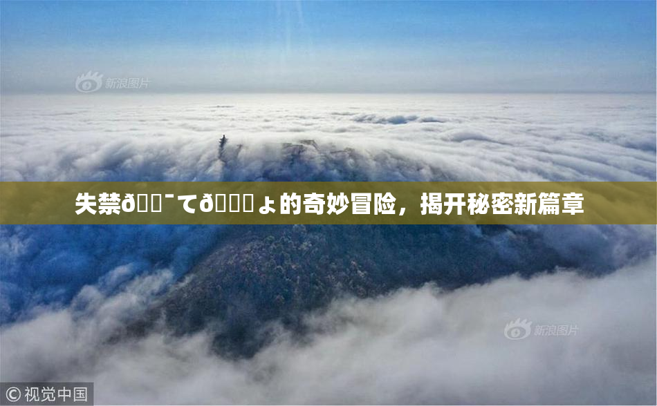 失禁🔯て🎆ょ的奇妙冒险，揭开秘密新篇章