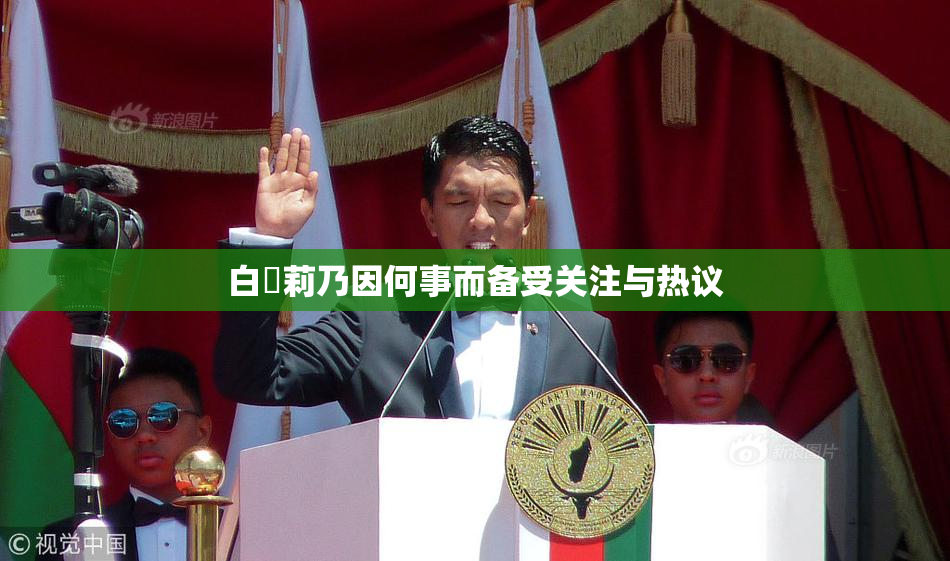 白咲莉乃因何事而备受关注与热议