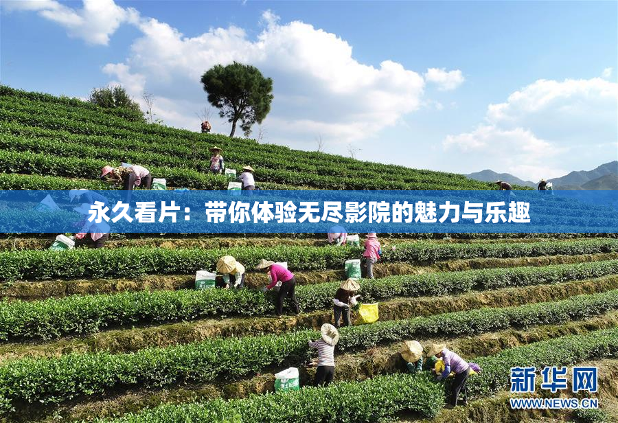 永久看片：带你体验无尽影院的魅力与乐趣