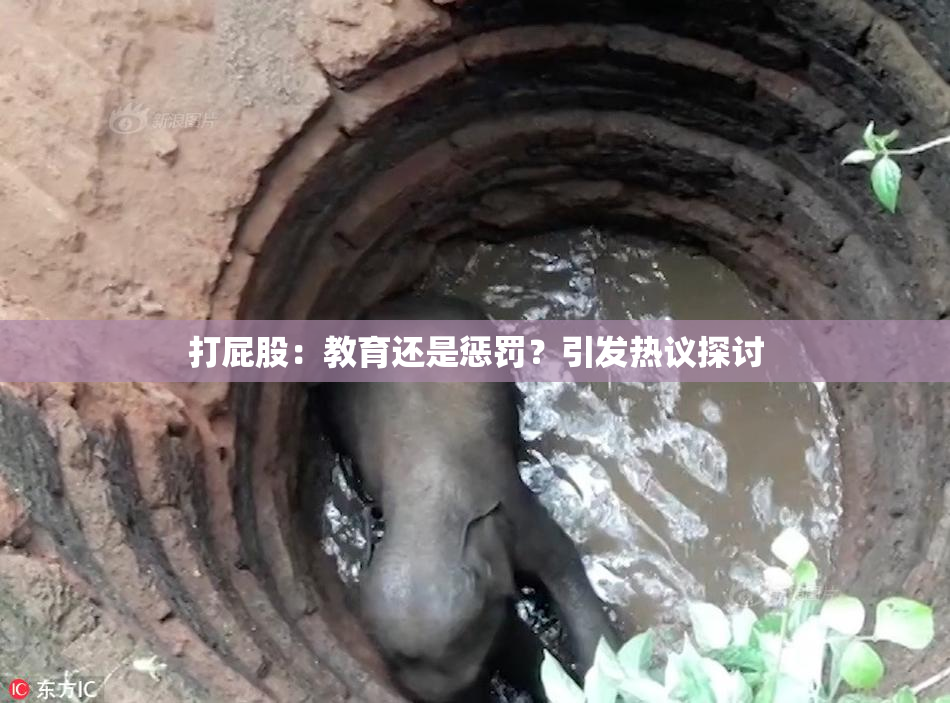 打屁股：教育还是惩罚？引发热议探讨