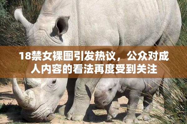 18禁女裸图引发热议，公众对成人内容的看法再度受到关注