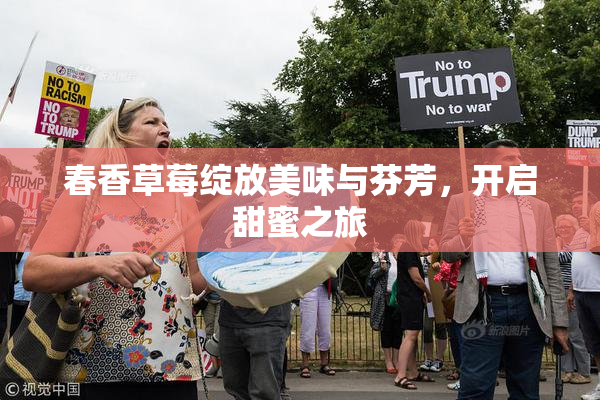 春香草莓绽放美味与芬芳，开启甜蜜之旅