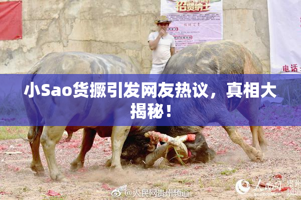 小Sao货撅引发网友热议，真相大揭秘！