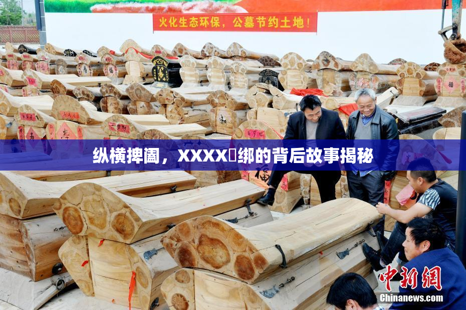 纵横捭阖，XXXX秵绑的背后故事揭秘