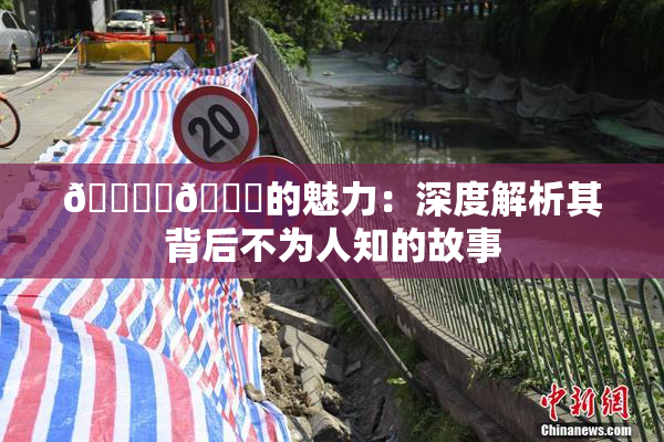 🔞‌🍌的魅力：深度解析其背后不为人知的故事