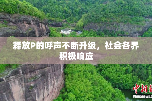 释放P的呼声不断升级，社会各界积极响应