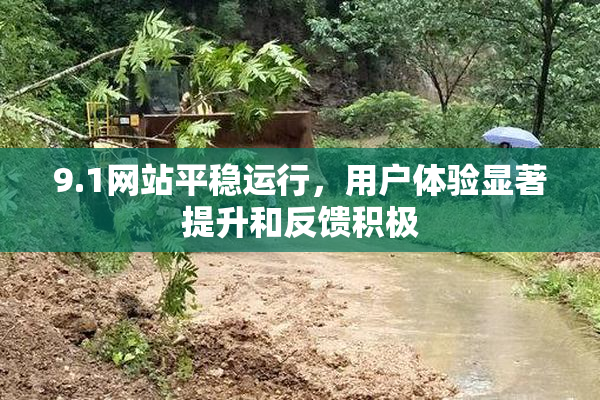 9.1网站平稳运行，用户体验显著提升和反馈积极