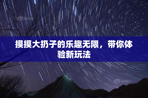 摸摸大扔子的乐趣无限，带你体验新玩法