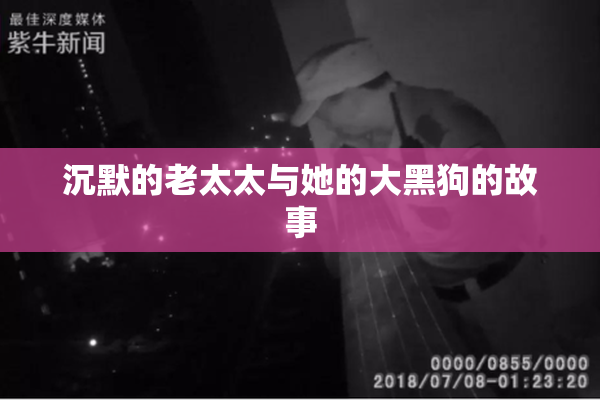 沉默的老太太与她的大黑狗的故事