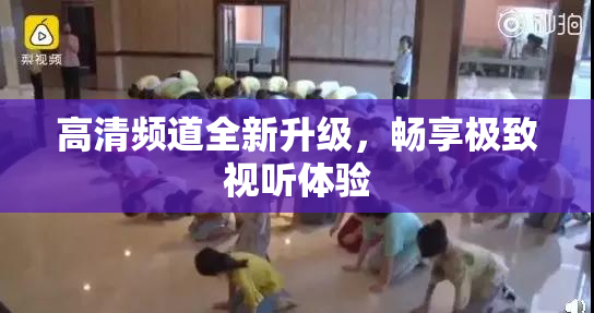 高清频道全新升级，畅享极致视听体验