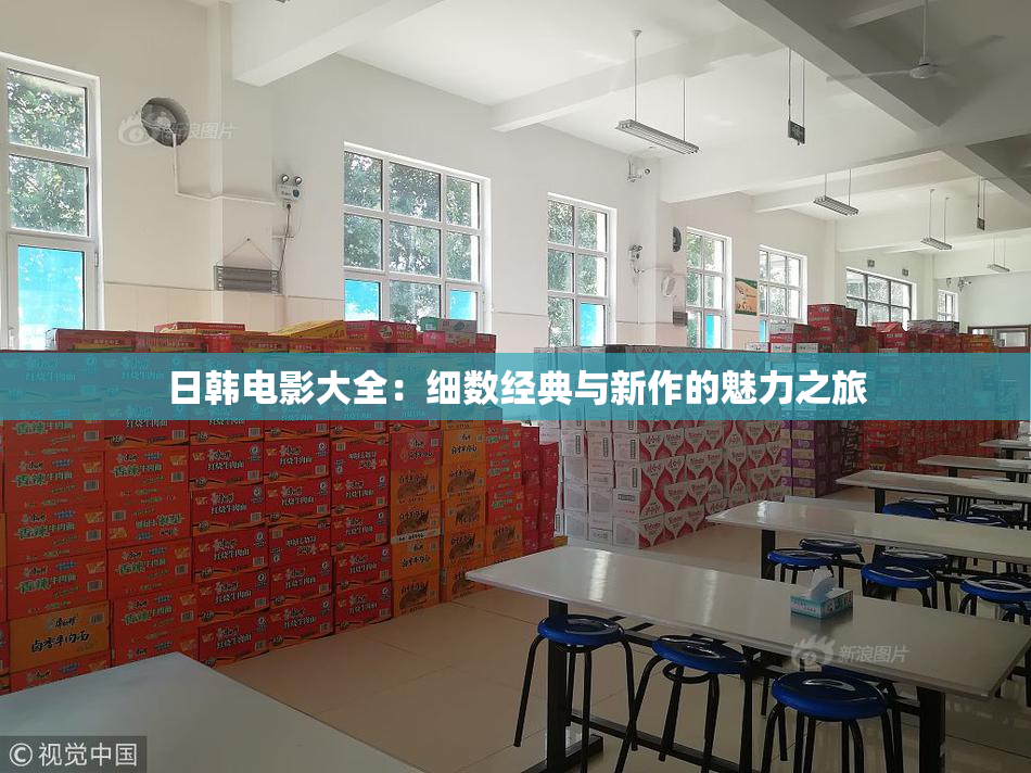 日韩电影大全：细数经典与新作的魅力之旅