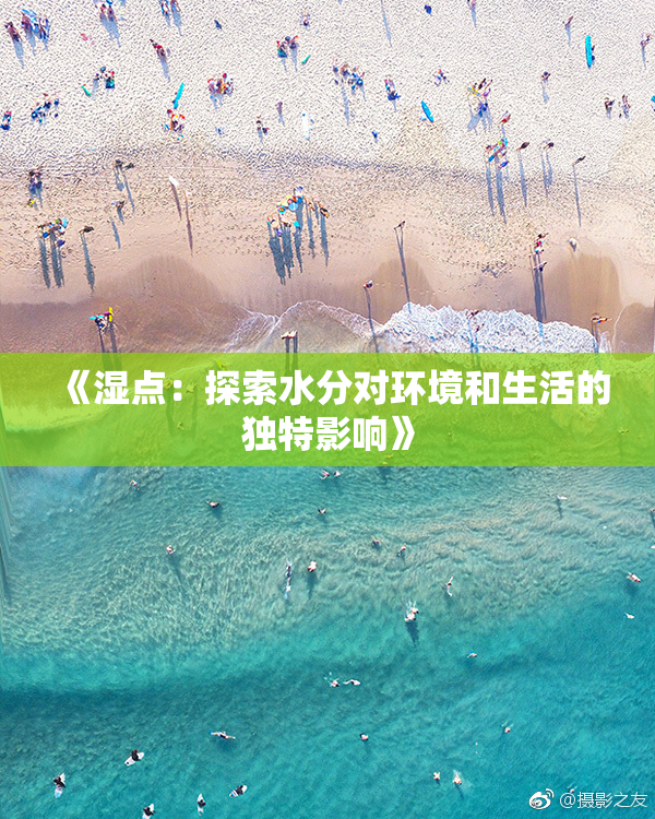 《湿点：探索水分对环境和生活的独特影响》
