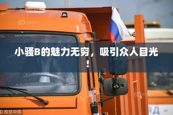 小骚B的魅力无穷，吸引众人目光！