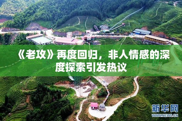 《老攻》再度回归，非人情感的深度探索引发热议