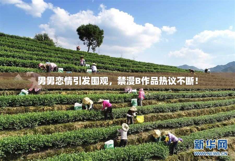 男男恋情引发围观，禁漫B作品热议不断！