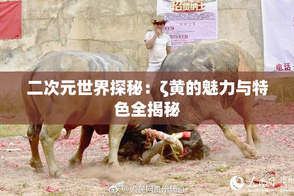 二次元世界探秘：ζ黄的魅力与特色全揭秘
