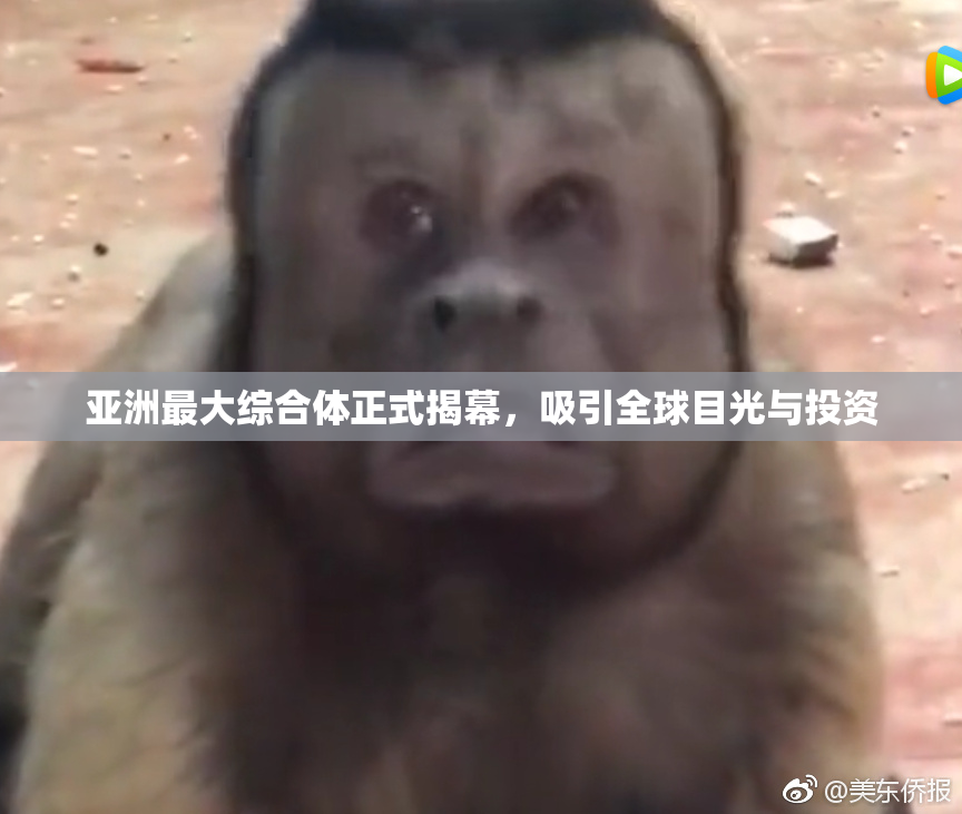 亚洲最大综合体正式揭幕，吸引全球目光与投资