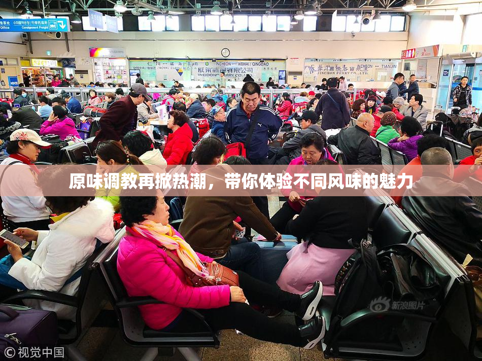 原味调教再掀热潮，带你体验不同风味的魅力